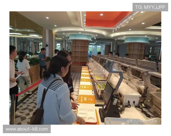 探索不同材质色碟的特点与使用场景，提升用餐体验的艺术感