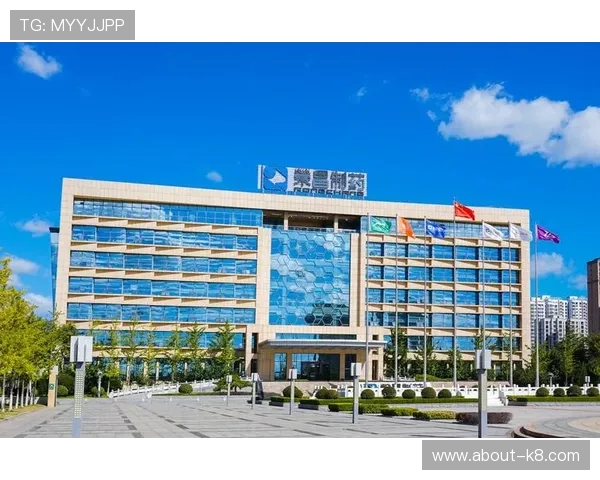 凯发k8国际一触即发，丰富的优惠活动不断推出为玩家带来更多实惠与惊喜