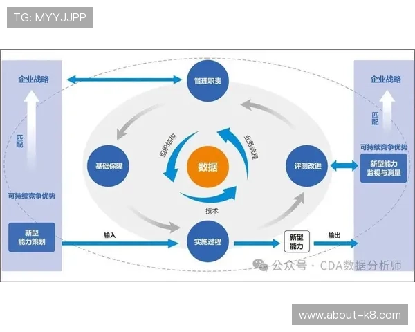 如何通过K8正式官网进行高效数据管理与分析，提升企业决策能力