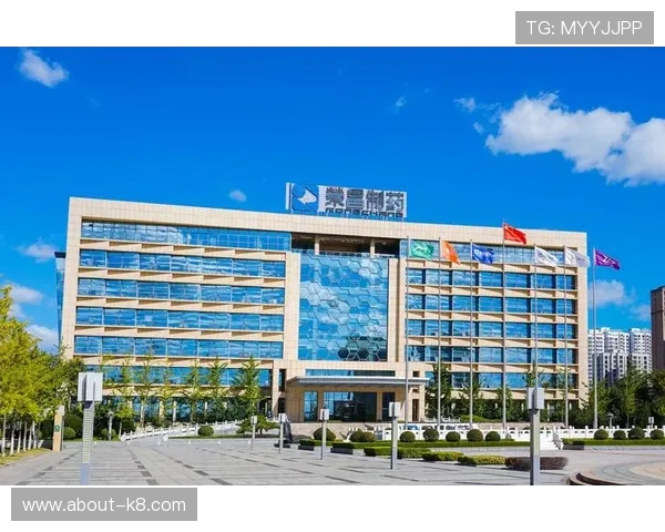 凯发K8.comapp官网最新版本下载安装指南，全面解析凯发K8.comapp官网的功能与优势