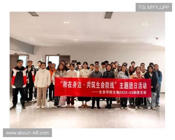 K8登录入口常见问题及解决方案详解帮助玩家顺利登录