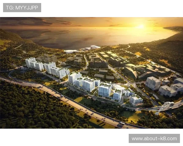 凯发国际版：分析其在国际市场的竞争优势，助力玩家把握更多投资与娱乐机会