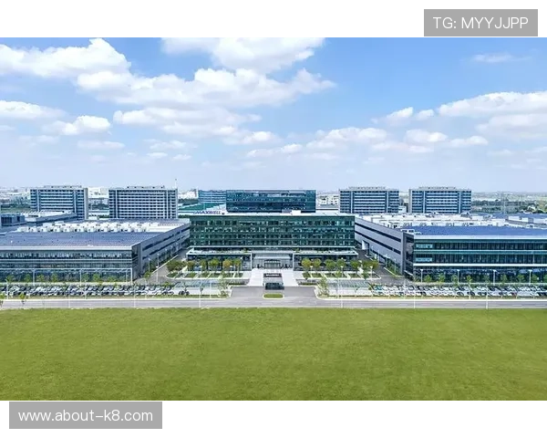 凯发公司在网络游戏行业中的市场份额与竞争优势详尽分析助力投资者理性决策