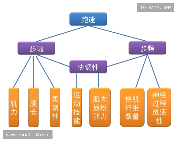 跑得快是哪里的玩法在不同地区的玩法差异及其背后的文化故事分析