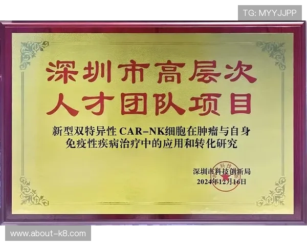 在K8凯发手机官网上如何安全充值并避免账号风险的详细操作指南